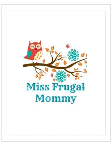 MISS FRUGAL MOMMY - BLANKET REVIEW